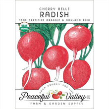 Load image into Gallery viewer, Radish, Cherry Belle - Organic