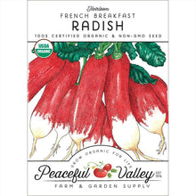 Load image into Gallery viewer, Radish, French Breakfast - Organic