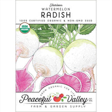 Load image into Gallery viewer, Watermelon Radish - Organic