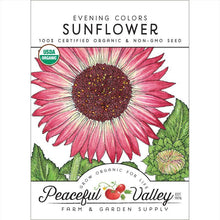 Load image into Gallery viewer, Sunflower, Evening Colors - Organic