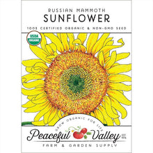 Load image into Gallery viewer, Sunflower, Russian Mammoth - Organic
