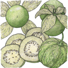 Load image into Gallery viewer, Tomatillo, Verde - Organic