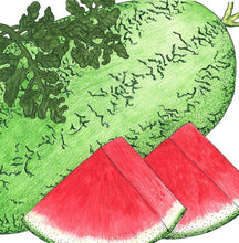 Load image into Gallery viewer, Watermelon, Crimson Sweet - Organic