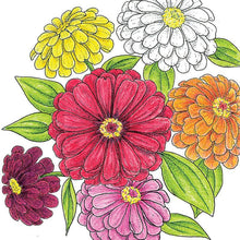 Load image into Gallery viewer, Zinnia, California Giants - Organic