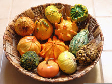 Load image into Gallery viewer, Gourd, Ten Commandments