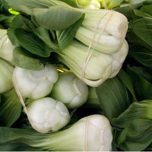 Load image into Gallery viewer, Pak Choi, Baby Shanghai - Organic