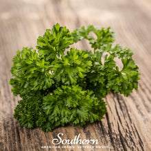 Load image into Gallery viewer, Parsley, Evergreen