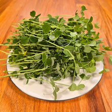 Load image into Gallery viewer, Pea Shoots Field Microgreens Seeds