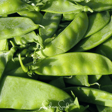 Load image into Gallery viewer, Snow Peas, Oregon Sugar II