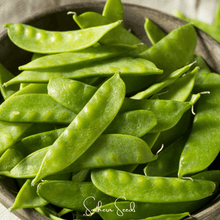 Load image into Gallery viewer, Snow Peas, Oregon Sugar II