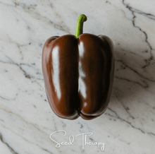 Load image into Gallery viewer, Pepper, Chocolate Beauty Bell