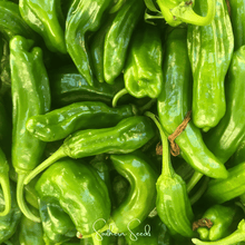 Load image into Gallery viewer, Pepper, Cubanelle Sweet