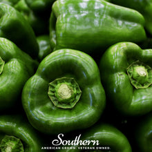 Load image into Gallery viewer, Pepper, Emerald Giant Sweet Bell