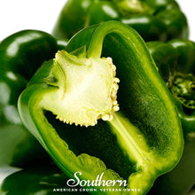 Load image into Gallery viewer, Pepper, Emerald Giant Sweet Bell