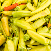 Load image into Gallery viewer, Pepper, Hungarian Wax