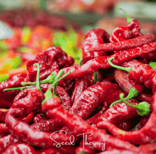 Load image into Gallery viewer, Pepper, Jimmy Nardello