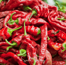 Load image into Gallery viewer, Pepper, Jimmy Nardello