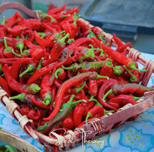 Load image into Gallery viewer, Pepper, Jimmy Nardello