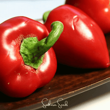 Load image into Gallery viewer, Pepper, Pimento Sweet