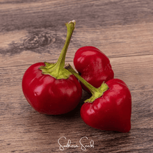 Load image into Gallery viewer, Pepper, Pimento Sweet