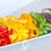 Load image into Gallery viewer, Pepper, Rainbow Bell Sweet
