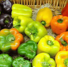 Load image into Gallery viewer, Pepper, Rainbow Bell Sweet