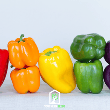 Load image into Gallery viewer, Pepper, Rainbow Bell Sweet