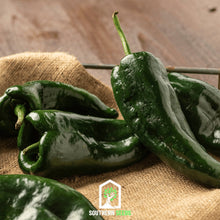 Load image into Gallery viewer, Pepper Seed Collection – 6 Essential Heirloom Peppers