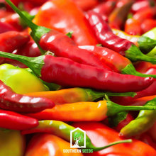 Load image into Gallery viewer, Pepper Seed Collection – 6 Essential Heirloom Peppers