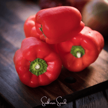 Load image into Gallery viewer, Pepper, Yolo Wonder Bell