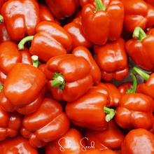 Load image into Gallery viewer, Pepper, Yolo Wonder Bell