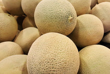 Load image into Gallery viewer, Cantaloupe, Iroquois