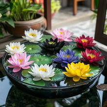 Load image into Gallery viewer, Lotus, Premium Mix Seeds