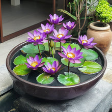 Load image into Gallery viewer, Lotus, Premium Purple Seeds