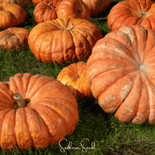 Load image into Gallery viewer, Pumpkin, Cinderella