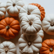 Load image into Gallery viewer, Pumpkin, Gooligan