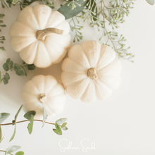 Load image into Gallery viewer, Pumpkin, Gooligan