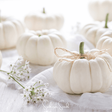 Load image into Gallery viewer, Pumpkin, Gooligan