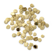Load image into Gallery viewer, Pepper, Cal Wonder Sweet - Organic