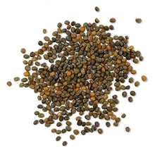 Load image into Gallery viewer, Arugula, Slow Bolt - Organic