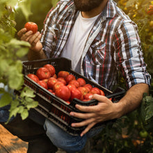 Load image into Gallery viewer, Triple Play Tomato &amp; Vegetable Plant Food 8-8-8