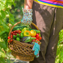 Load image into Gallery viewer, Triple Play Tomato &amp; Vegetable Plant Food 8-8-8