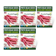 Load image into Gallery viewer, Bean, Pinto - Organic