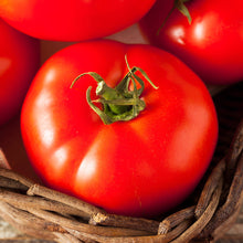 Load image into Gallery viewer, Tomato, Beefsteak - Organic