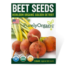 Load image into Gallery viewer, Beet, Golden Detroit - Organic