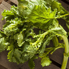 Load image into Gallery viewer, Broccoli Raab - Organic