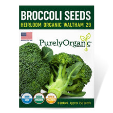 Load image into Gallery viewer, Broccoli, Waltham 29 - Organic