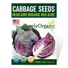 Load image into Gallery viewer, Cabbage, Red Acre - Organic