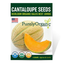 Load image into Gallery viewer, Cantaloupe, Hales Best Jumbo - Organic