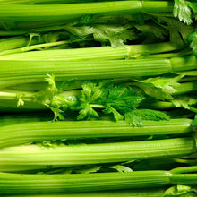 Load image into Gallery viewer, Celery, Utah Tall - Organic